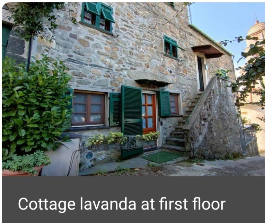 Cottage Lavanda 레반토 객실 사진